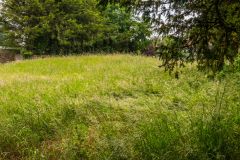 One of the two bowl barrows