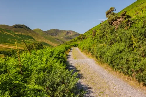 The trail rises as it follows Coledale Beck