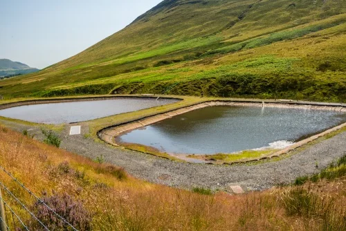 The heavy metal settling ponds
