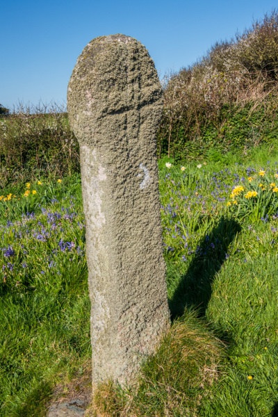 Forrabury Cross