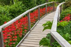 Furzey Gardens, A colourful boardwalk