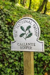 The National Trust owns the woodland site