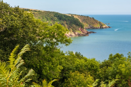 The view from the earthworks of Gallants Bower