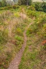 Walking the top of the earthworks