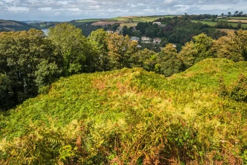 Looking north over the earthworks towards Dartmouth