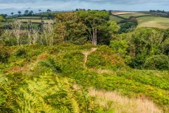 Looking east over the fort enclosure
