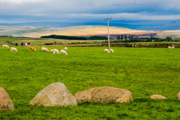 Gamelands Stone Circle