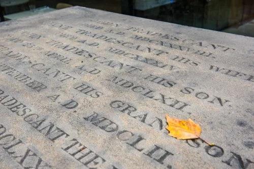 John Tradescant's tomb
