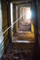Climbing out of the Wheal Mexico tunnels