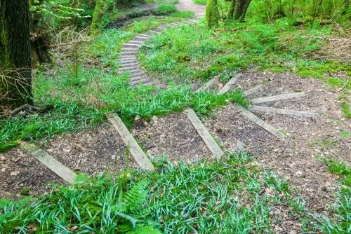 Woodland trail to the cairns