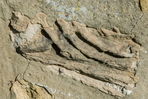 8th-century carved stone in the church wall