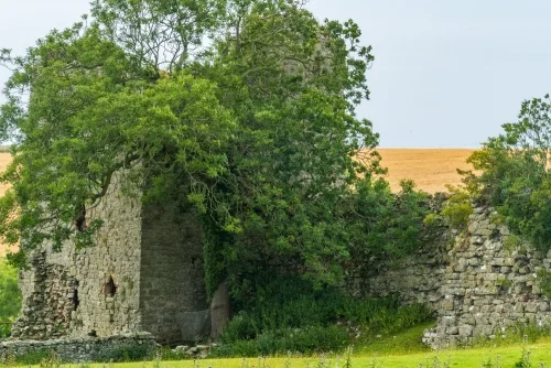 The north-west tower (the lord's residence)