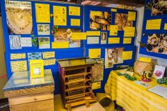 The beekeeping exhibit