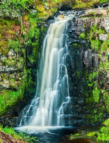 Glenashdale Falls (upper falls)