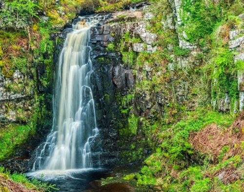 Glenashdale Falls (upper falls)