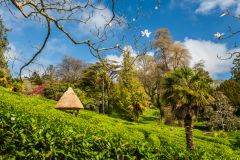 A closer look at the famous maze