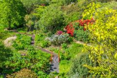 Looking down from Oak Knoll