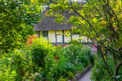 A timber-framed cottage and garden