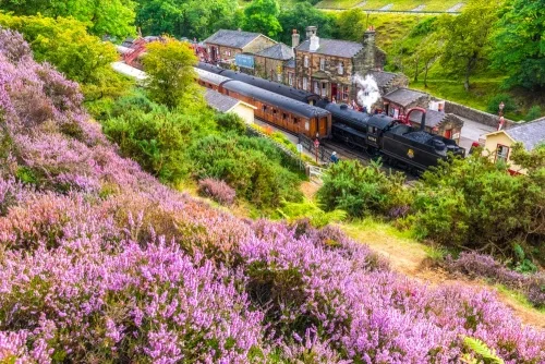 The North York Moors Railway steam train at Goathland