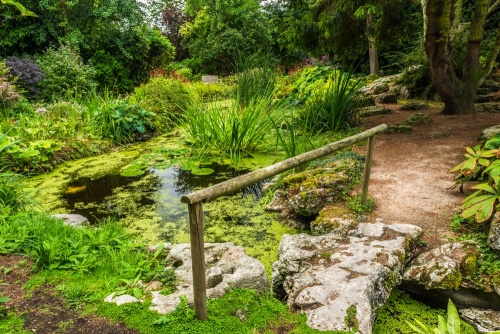 A picturesque footbridge in the gardens