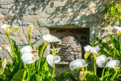 A beehive in the walled garden