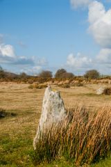 A stone half hidden by grass
