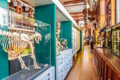 Another view of the museum interior