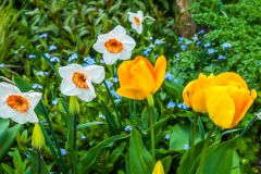 Lush whites and yellow abound in summer