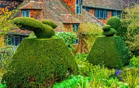 Topiary near the house