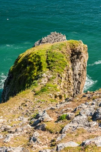 Walking down the Green Bridge