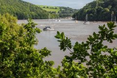 The River Dart from Greenway