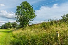 The northern earthwork rampart