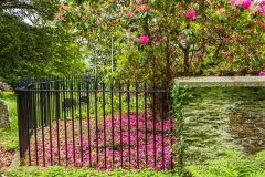 The Johnes family grave