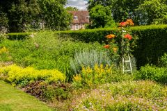 Colourful borders in the historic gardens