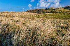 Crossing the machair to the Roundhouses