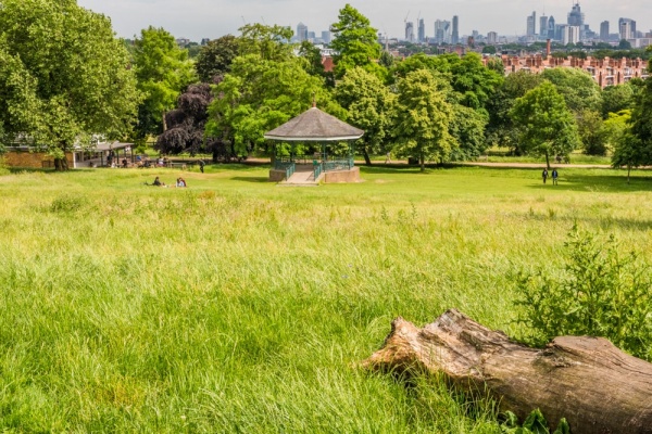 Hampstead Heath