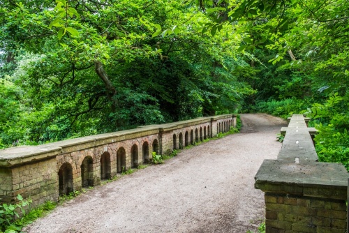 Bird Bridge
