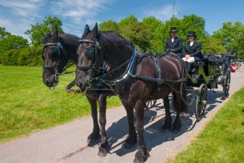 Arriving in style at Hanbury