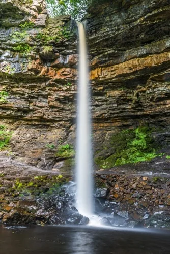 Hardraw Force