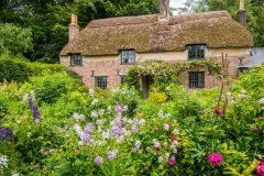 The cottage and the colourful garden
