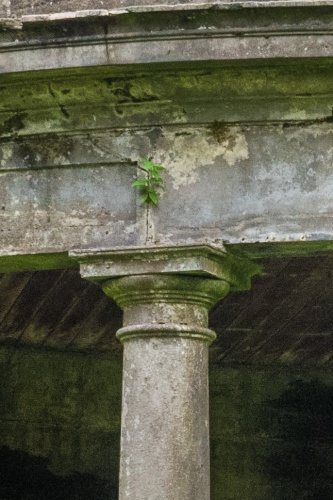 A closer look at a column and its capital