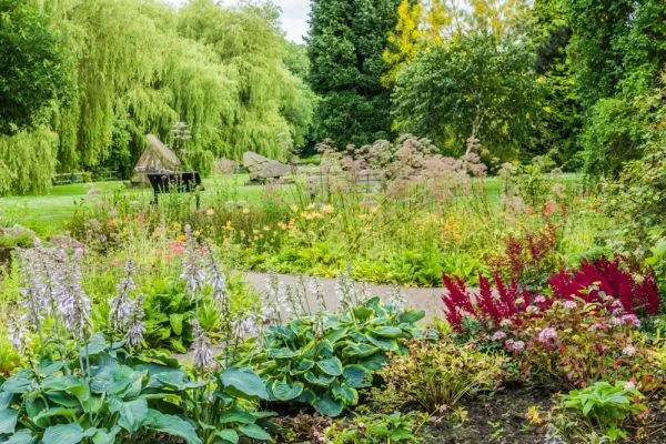 Colourful flower beds in Bogs Field