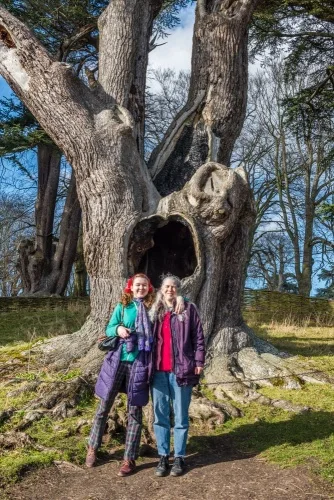 The intrepid Britain Express explorers in front of the Harry Potter Tree
