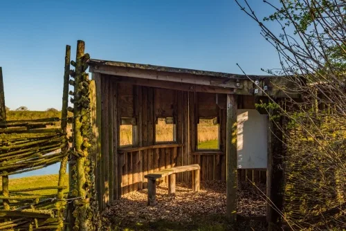 The timber bird hide