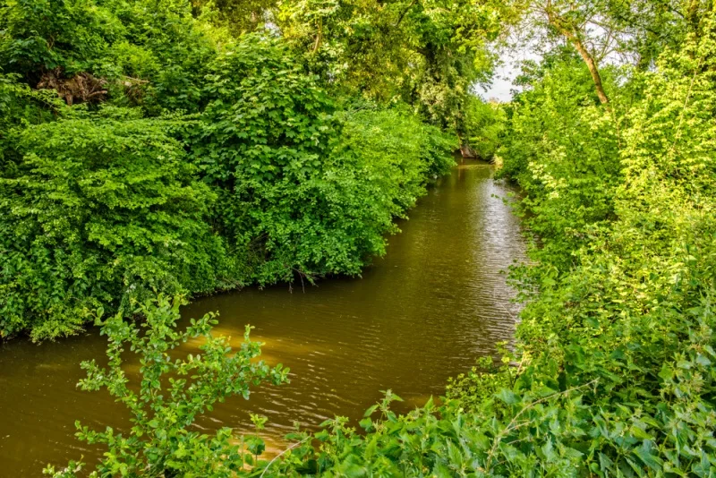 Haughley Castle moat