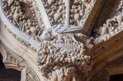 A bird (pelican?) plucking its breast