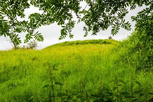The motte and bailey castle