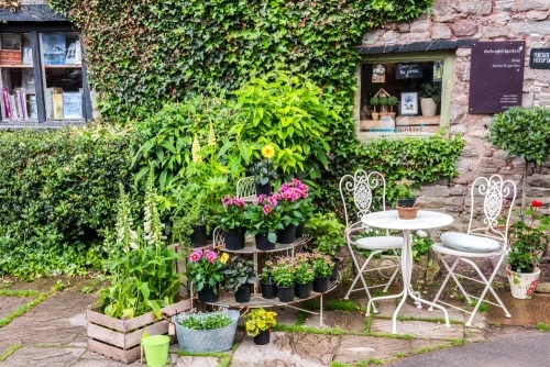 A pretty cafe/bookshop