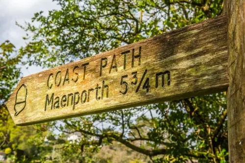 You can explore the Helford area on the coast path