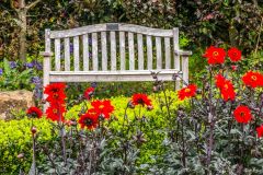 A quiet garden bench